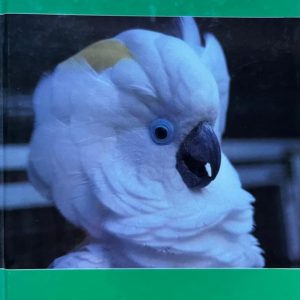 Parrot Incubation Procedures: A Methodical Guide...