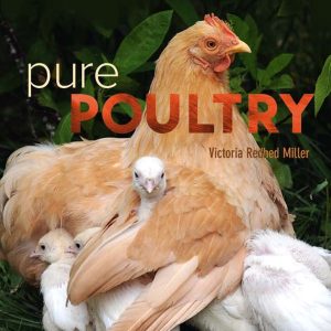 Pure Poultry: Living Well with Heritage Chickens, Turkeys and Ducks